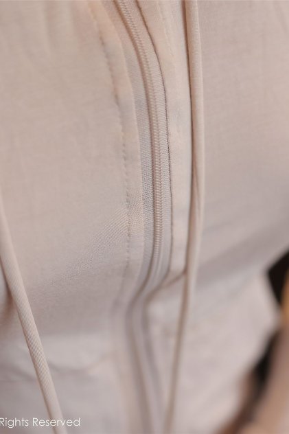 pr九尾狐正能量视频软件海报