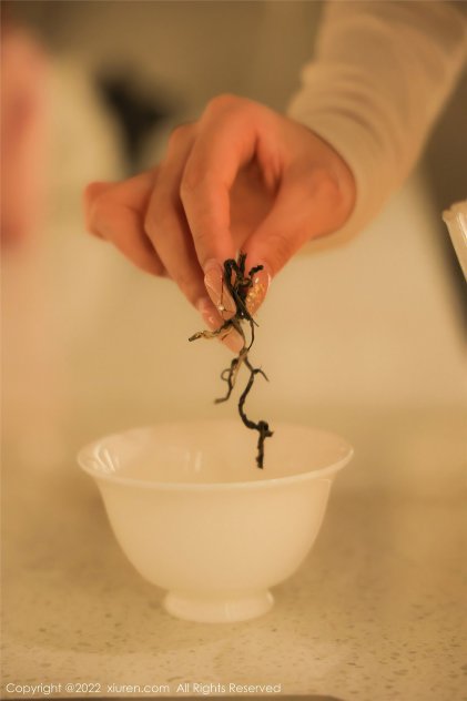 国内精品免费久久影院海报